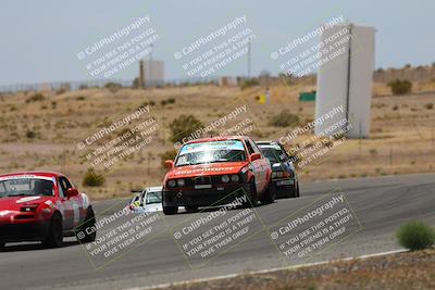 media/May-03-2025-Lucky Dog Racing (Sat) [[206de64b9d]]/Turn 6 (150pm-230pm)/